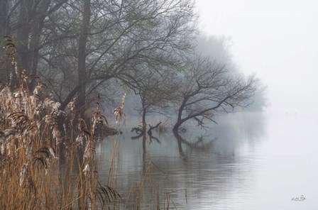 In the Swamps by Martin Podt art print