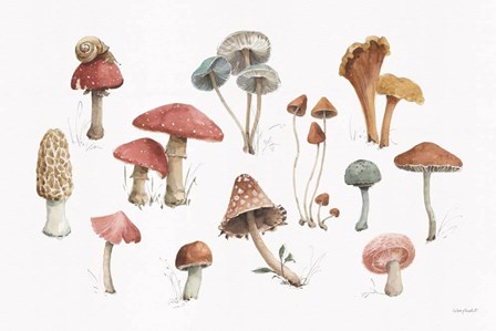 Mushroom Medley 01 by Lisa Audit art print