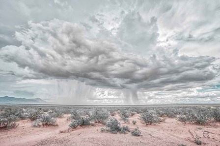 New Mexico Rain by Nathan Larson art print