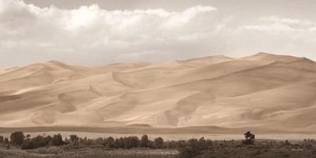 The Great Sand Dunes by Lori Deiter art print