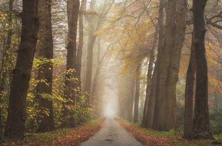 Autumnal Moodiness by Martin Podt art print