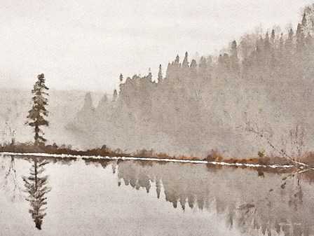 Water Reflection by Susan Ball art print