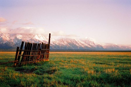Fence In Jackson by Sol Rapson art print