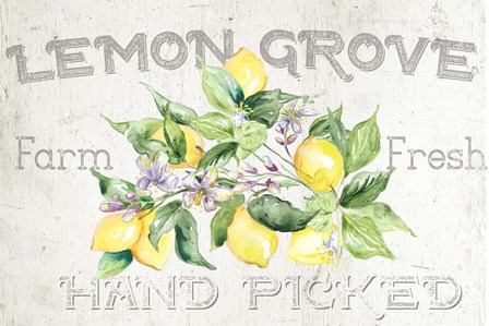 Lemon Grove I by Tre Sorelle Studios art print