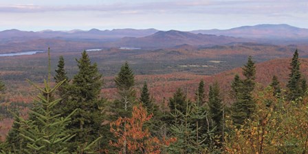 Adirondack Panorama by Lori Deiter art print