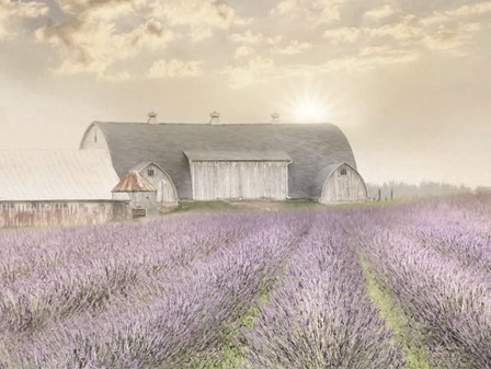 Lavender Morning by Lori Deiter art print