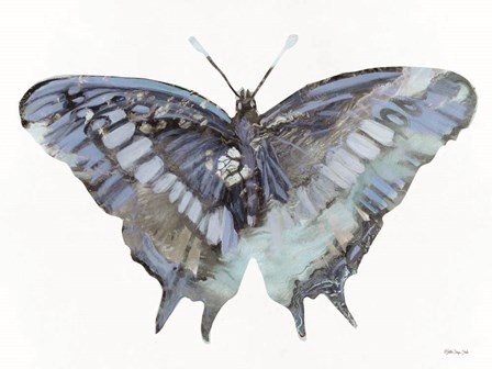 Blue Butterfly by Stellar Design Studio art print