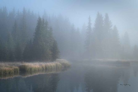 Grand Teton Lake Fog by Alan Majchrowicz art print
