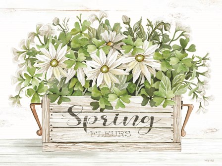 Spring Flowers by Cindy Jacobs art print