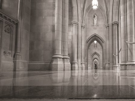 National Cathedral by Lori Deiter art print