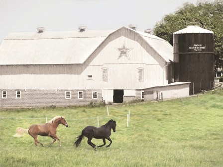 Afternoon Run on the Farm by Lori Deiter art print