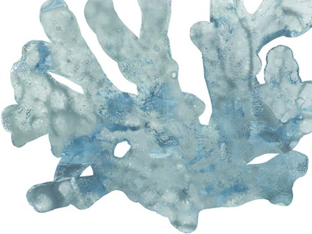 Blue Macro Coral IV by June Erica Vess art print