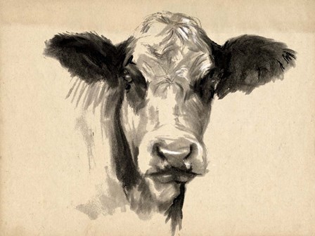 Charcoal Cow II by Jennifer Parker art print