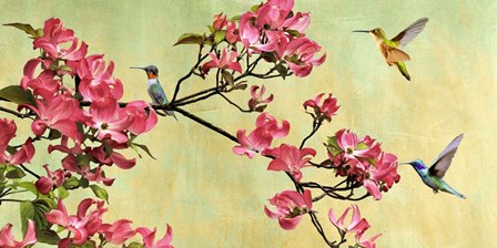 Flower Branch (detail) by Kelly Parr art print