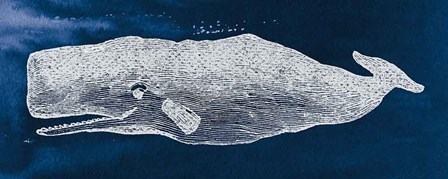 Whale on Blue by Wild Apple Portfolio art print