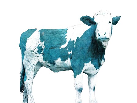 Blue Swiss Cow by JB Hyler art print