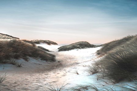 Dune Walk by Dan Meneely art print