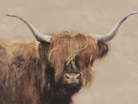 Highland Cow by Suzi Redman art print