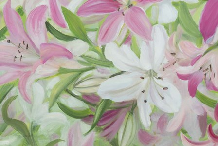 Pink and White Lilies IV by Sandra Iafrate art print