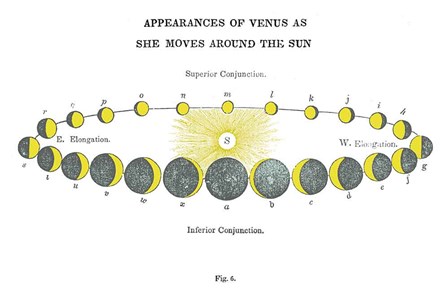 Solar Venus Chart Bright by Wild Apple Portfolio art print