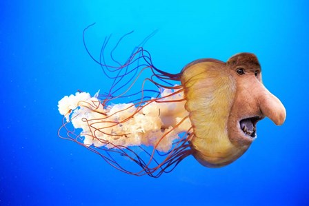 Monkfish by Pixelmated Animals art print