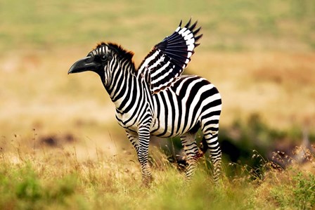 Zebra Zaaven by Pixelmated Animals art print