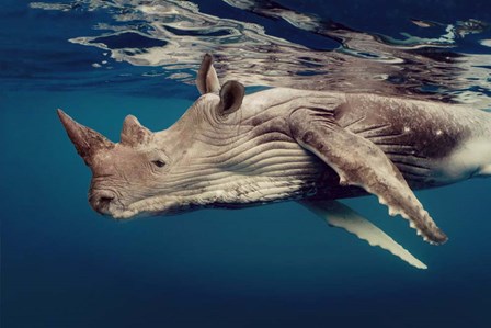 Whino 2 by Pixelmated Animals art print