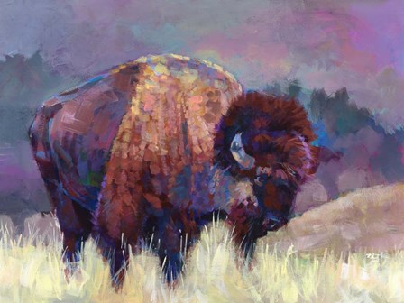 Buffalo Roam by Robert Jackson art print