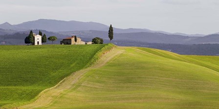 Val d&#39;Orcia, Siena, Tuscany (detail) by Pangea Images art print