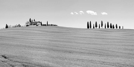 Strada del Brunello, Tuscany (BW) by Pangea Images art print