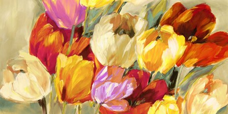 Field of Colorful Tulips by Jim Stone art print