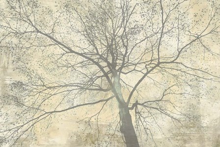 Below My Tree II by Alessio Aprile art print