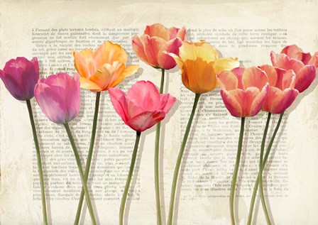Fleurs et Histoires by Luca Villa art print