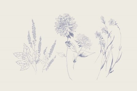 Flowers on White VIII Blue by Wild Apple Portfolio art print