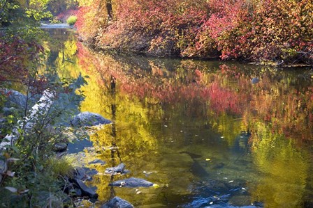 Deep Fall Colors, Wenatchee River, Washington State by William Perry / Danita Delimont art print