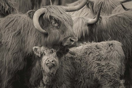 Highland Cow Under Cover Neutral by Nathan Larson art print