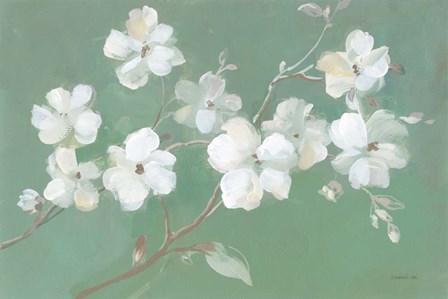 Blossoms on Sage by Danhui Nai art print