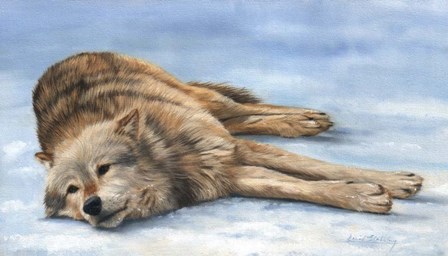 Wolf Laying In Snow by David Stribbling art print