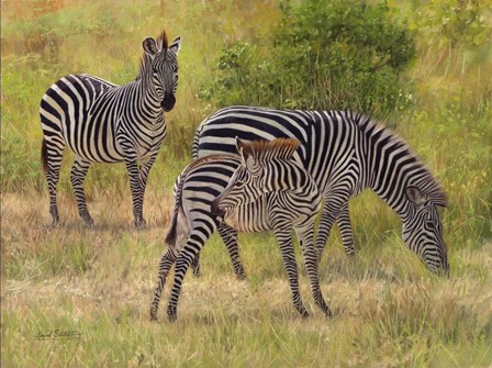 Zebras South Luangwa by David Stribbling art print