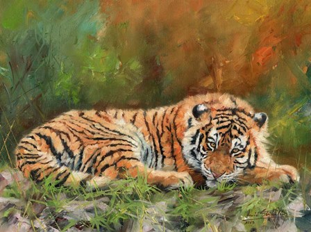 Amur Tiger Laying Down by David Stribbling art print