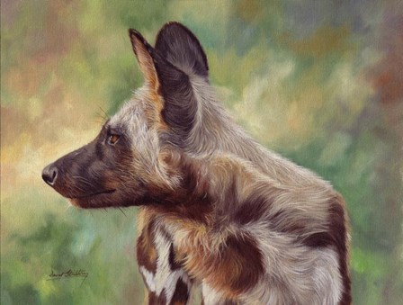 African Wild Dog by David Stribbling art print