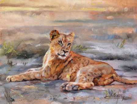 Lion Cub Resting by David Stribbling art print