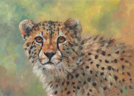 Cheetah Portrait by David Stribbling art print