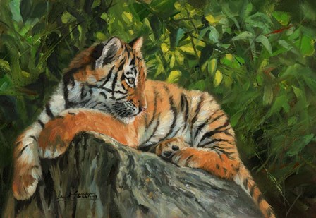 Tiger On Rock by David Stribbling art print