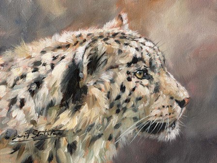 Snow Leopard 86 by David Stribbling art print
