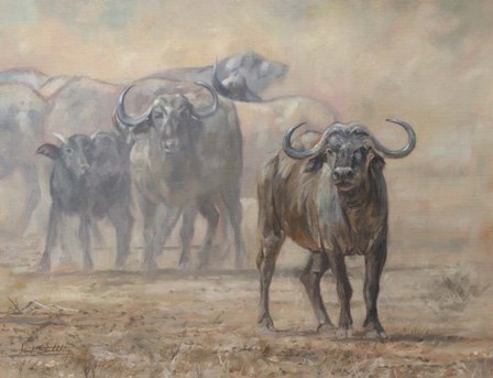 Buffalo Zambia by David Stribbling art print