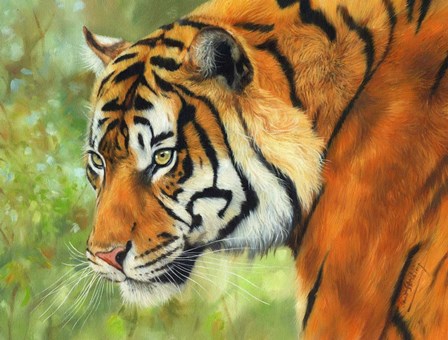 Tiger 20 by David Stribbling art print