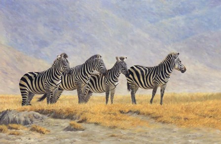 Zebras Ngorongoro Crater by David Stribbling art print