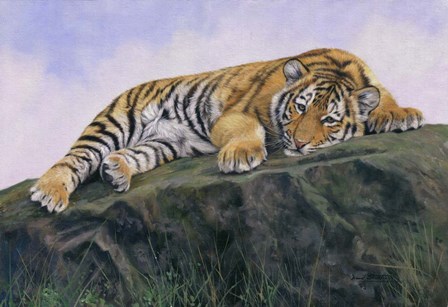 Young Tiger Rock by David Stribbling art print
