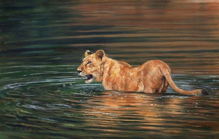 Lioness Water by David Stribbling art print